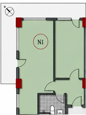 N201